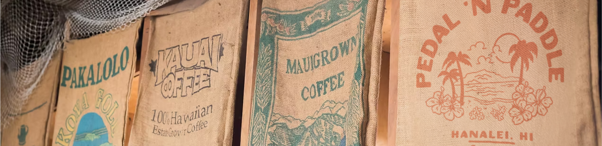 Pedal 'n Paddle banner